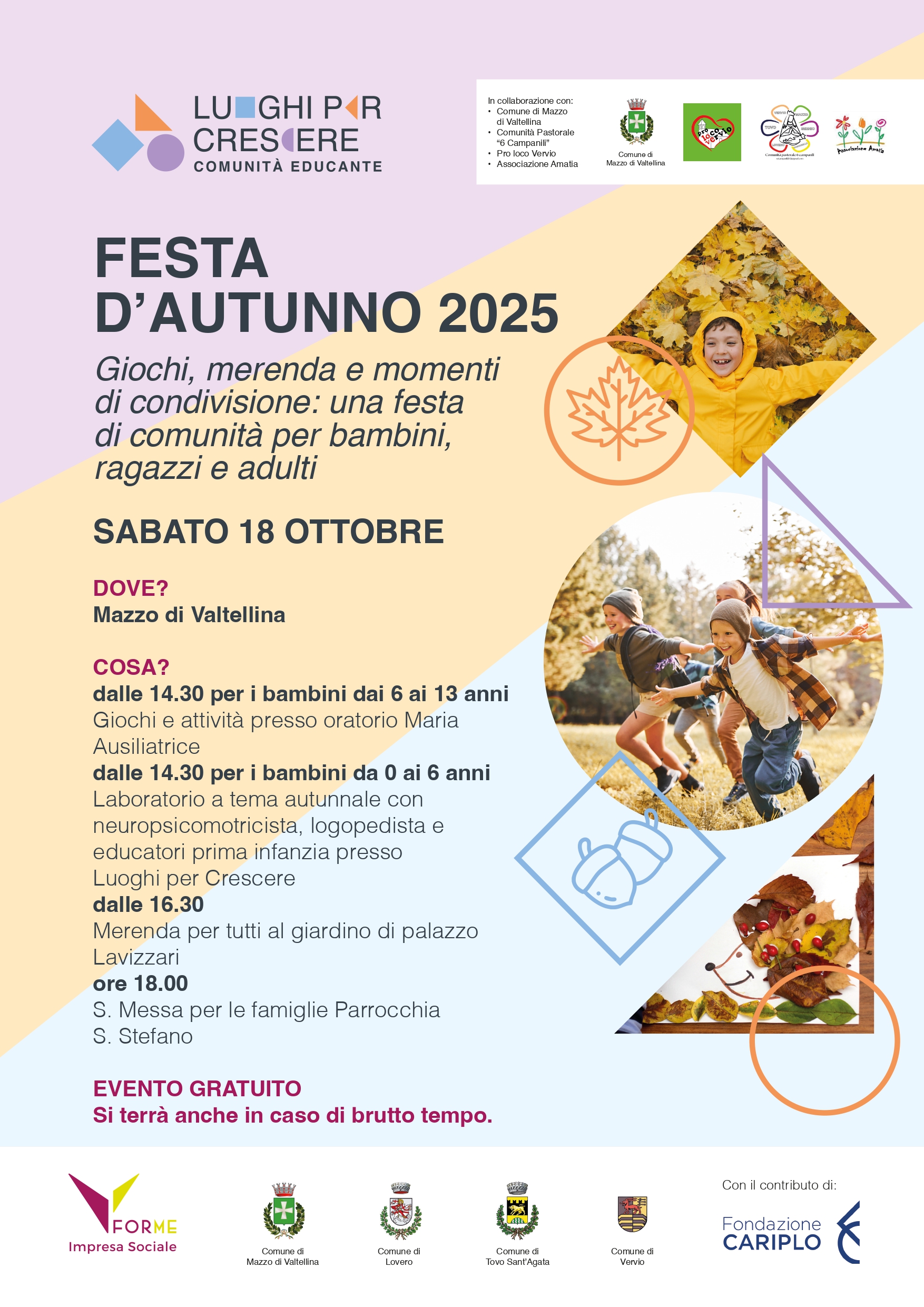 Immagine anteprima